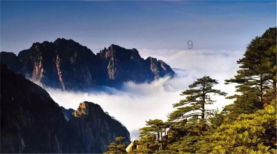《幻兽帕鲁》唤冬兽和唤夜兽对比